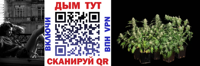 Конопля план  Купить  Иноземцево 